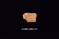 陶片藏品圖，第2張